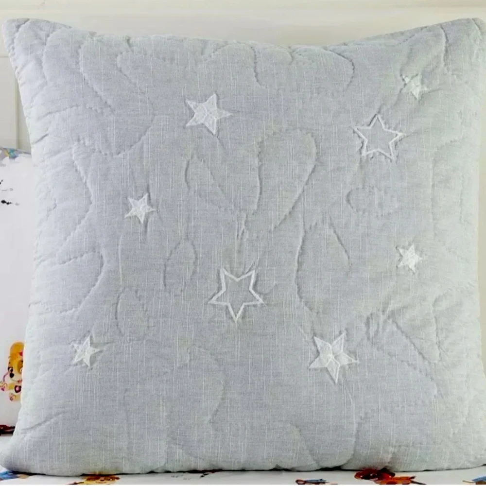 Pottery Barn Kids European Square Paw Patrol Quilted Embroidered Sham
